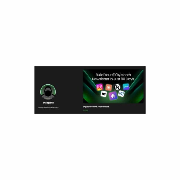 Incognito - Digital Growth Framework + Instagram Masterclass